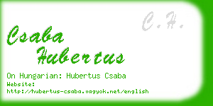 csaba hubertus business card